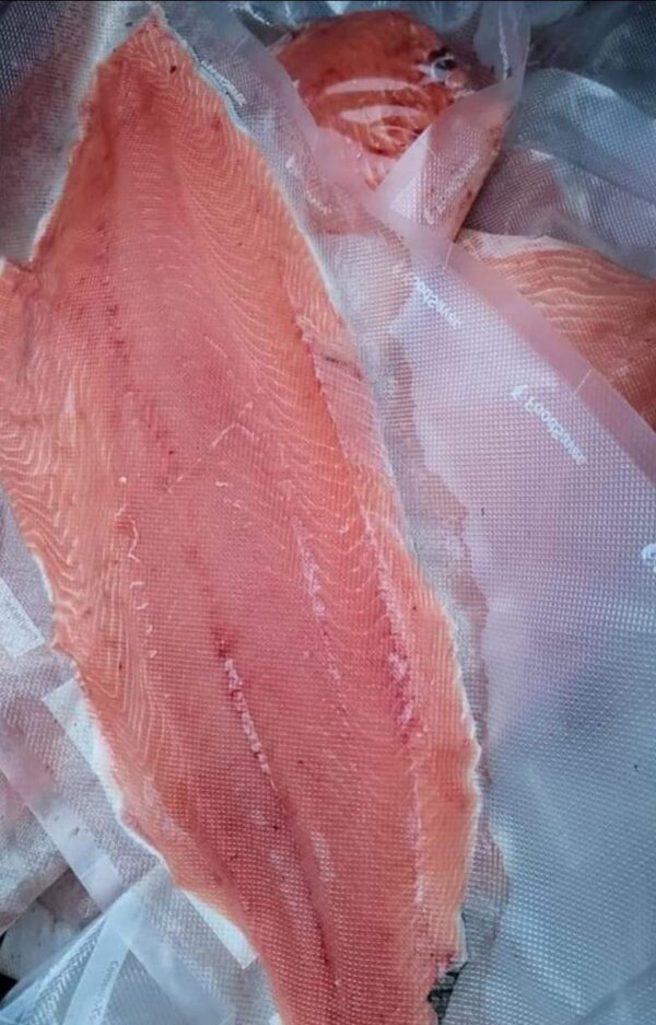 King Salmon Fillet